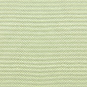Celadon - 5419