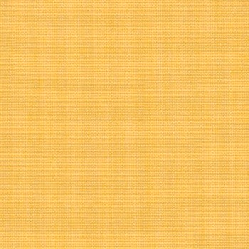 Canvas Corn Silk - 5435