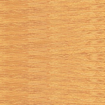 Teak