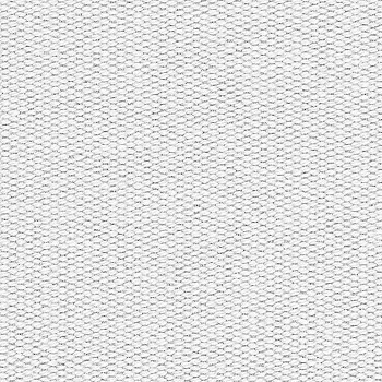 White Canvas