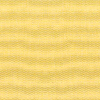 Buttercup - 5438