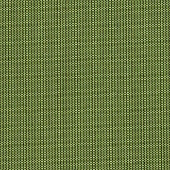 Canvas Turf - 5447