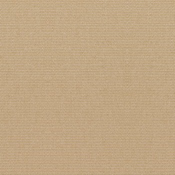 Camel - 5468