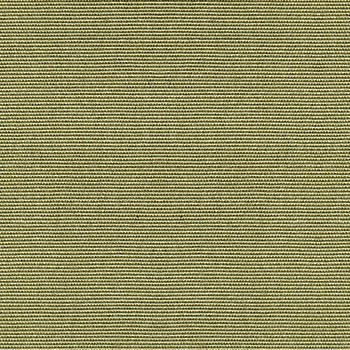 Spring - 5497