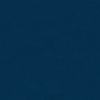 Navy Blue Vinyl