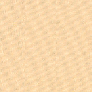 Canvas Canvas - 5453