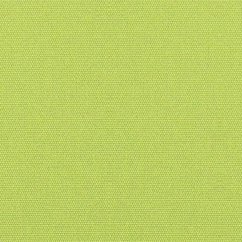 Parrot - 5405