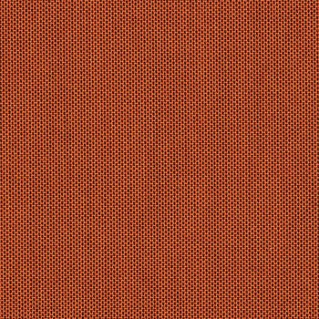 Canvas Paprika - 5451