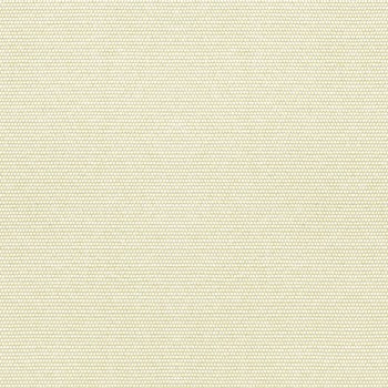 Canvas - 5453
