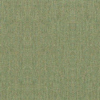 Fern - 5487