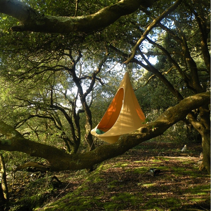 Outdoor Furniture: Hammocks: Cacoon Single Hanging Nest Chair Green