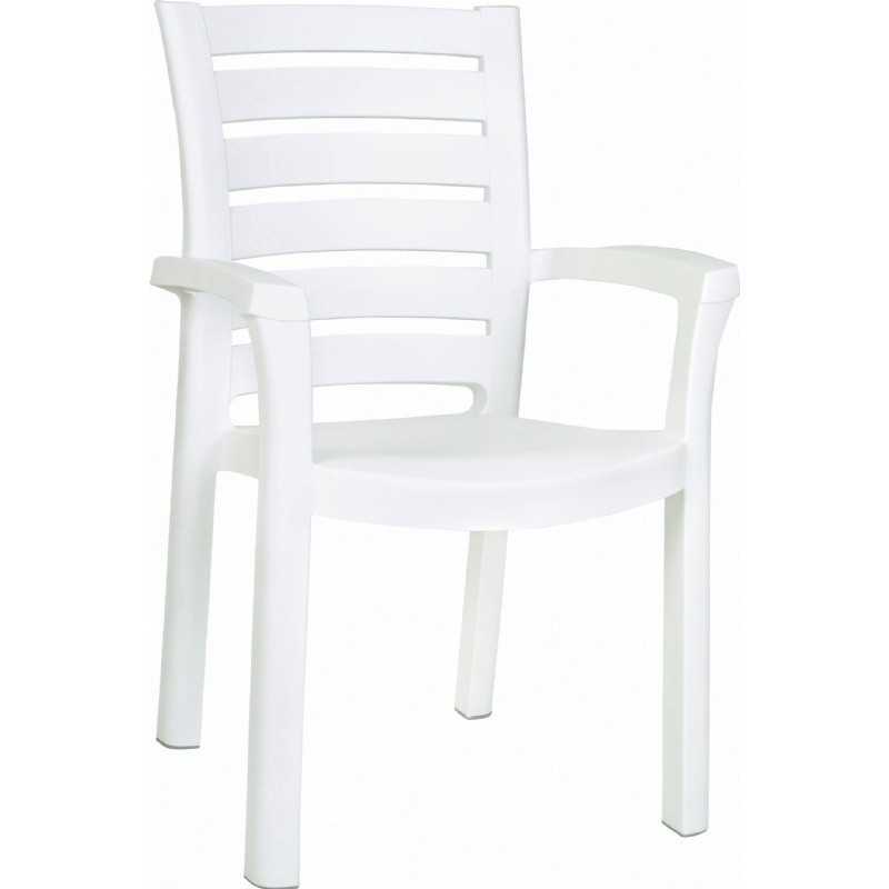 Outdoor Furniture: Dining Chairs: Sunshine Marina Resin Arm Chair