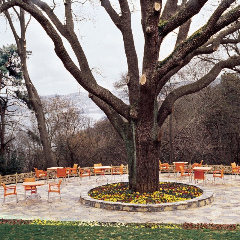 Compamia La Plaza Collection