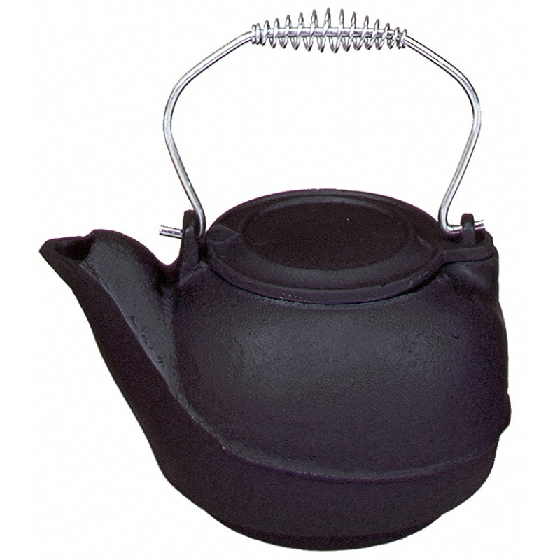 5 QT. Cast Iron Humidifier, Chrome Handle : Fire Pits & Fireplaces