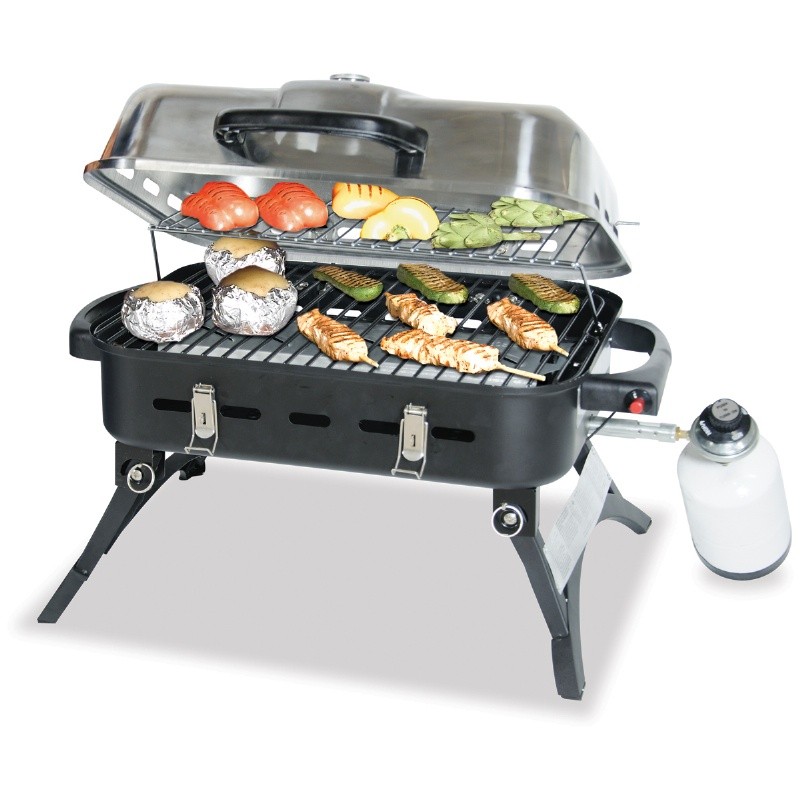 Blue Rhino Stainless Steel Portable LP Gas Grill : Barbecue Grills