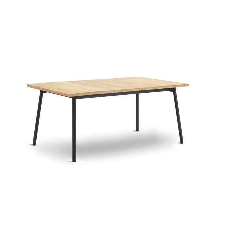 Bitta Rectangle Modern Outdoor Dining Table with Teak Top