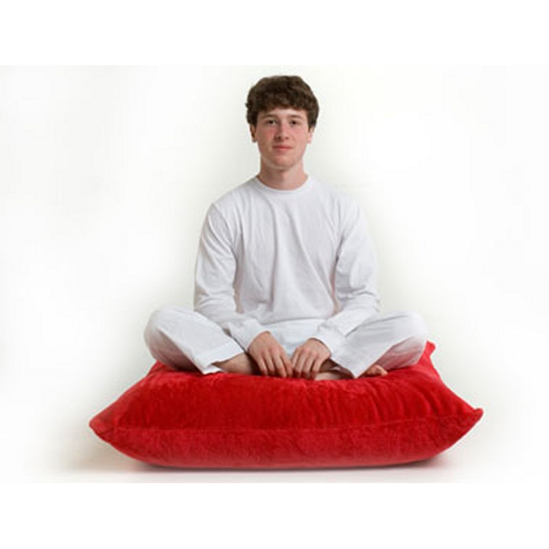 Home & Garden: Bed Rests & Pillows: Zak Rest Floor Pillow 30 × 30