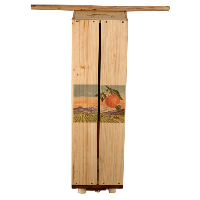 Wooden Scooter Citrus alternative photo #1
