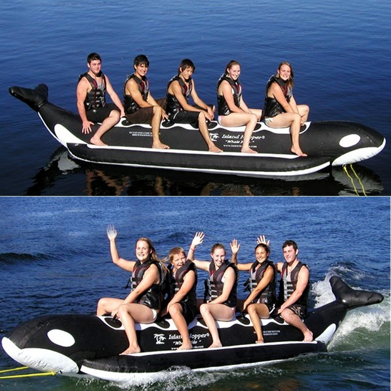 Pool & Beach: Towable Tubes: Whale Ride Towable Water Tube 5 Passenger