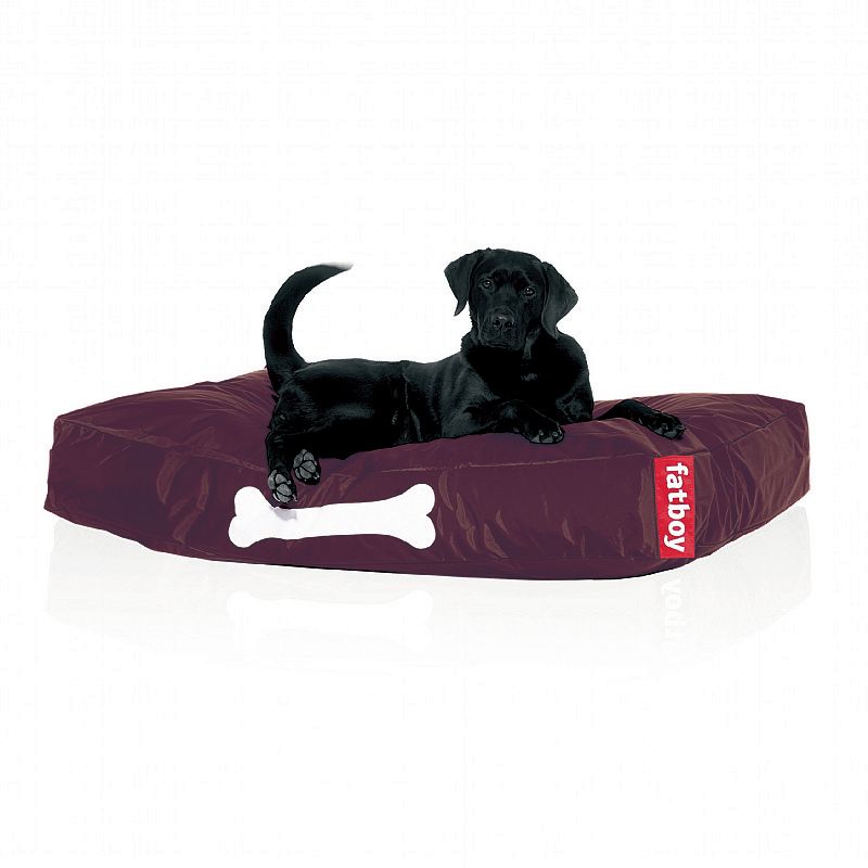 Pets: Dog Beds Large: Fatboy Doggielounge Large Dog Bed Brown