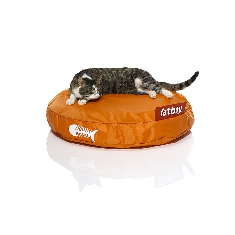 Pets: Cat Beds