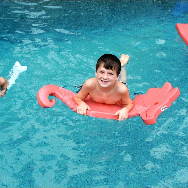 Pool & Beach: Pool Floats: Kids Seahorse Pool Float Medium Thick