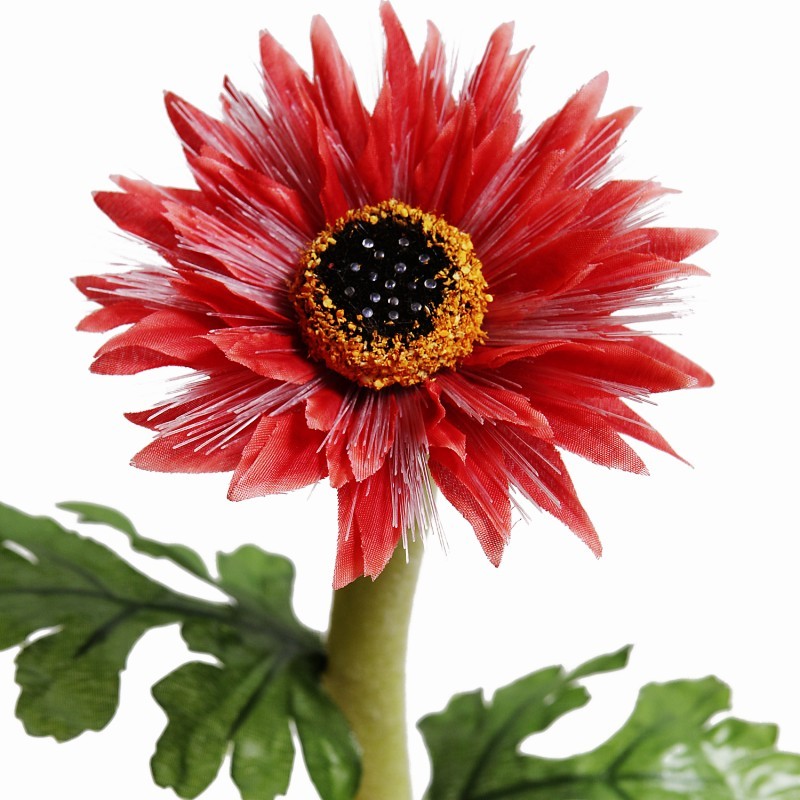 Solar Night Flowers - Daisy Solar Light alternative photo #0