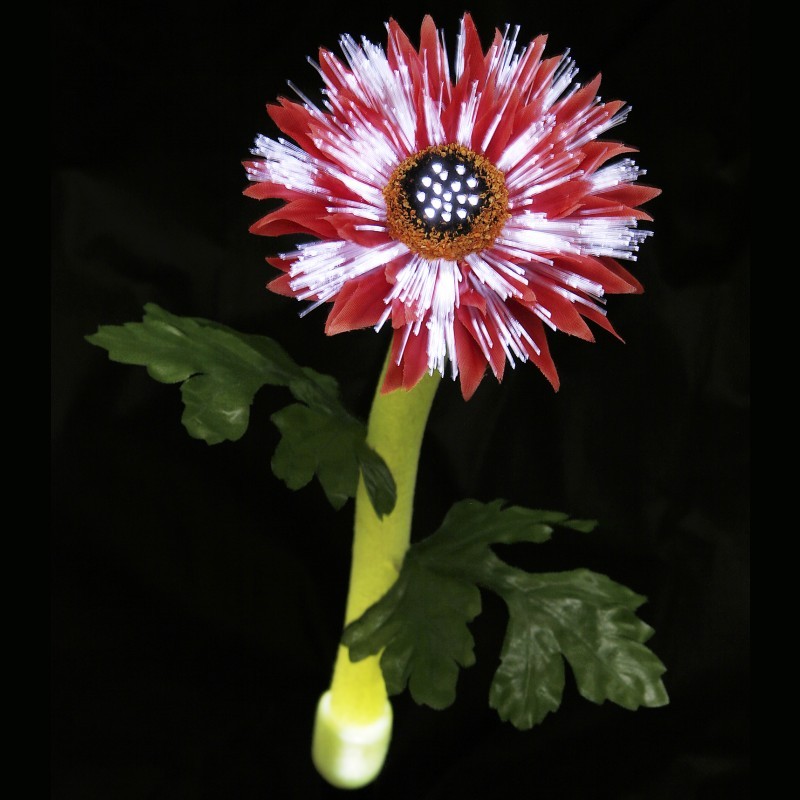 Solar Night Flowers - Daisy Solar Light Solar Night Flowers - Daisy Solar Light