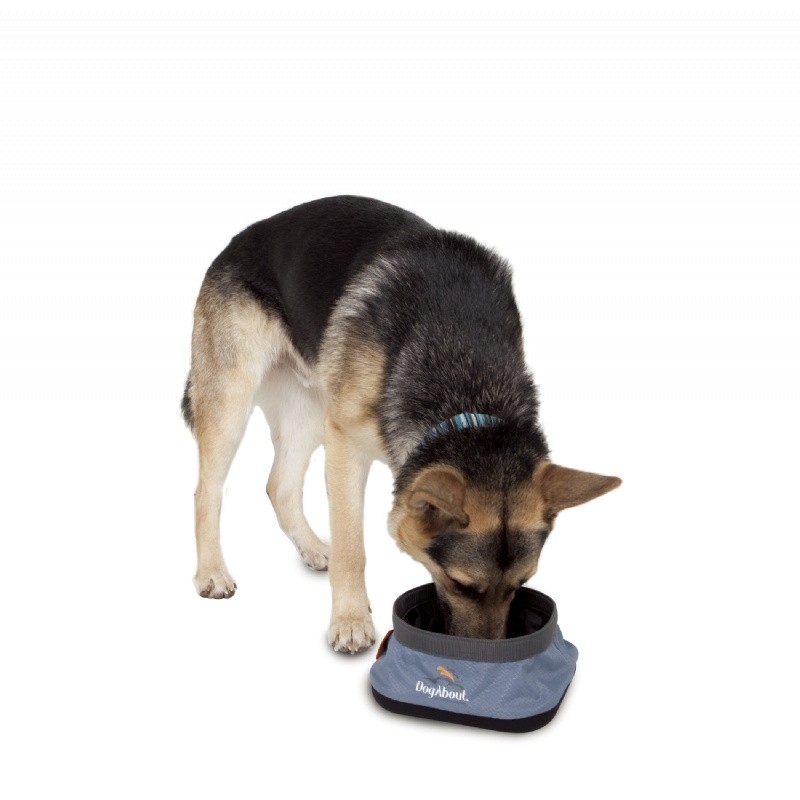 Pets: Pet Carriers: DogAbout&trade; Travel Bowl