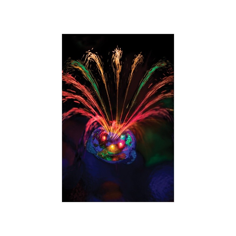 Small Underwater Light Show and Fountain