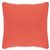 Square Outdoor Pillow 20x20 Solids CD20P #6