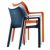 Diva Resin Outdoor Dining Arm Chair Dark Gray ISP028-DGR #3