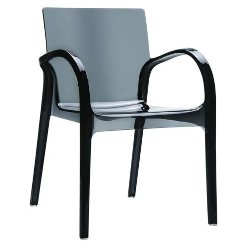 Dejavu Clear Plastic Outdoor Arm Chair Black ISP032-TBLA
