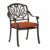 Florence Cast Aluminum Outdoor Dining Arm Chair CA-777-1