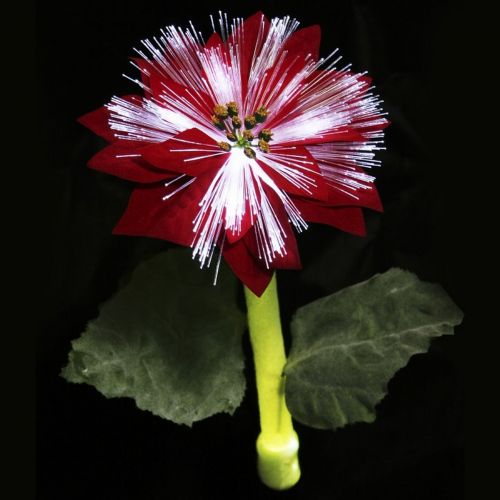Solar Night Flowers - Poinsettia Solar Light SF1003