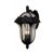 Special Lite Rose Garden F-3711-BLK-SG Large Top Mount Light with Seedy Glass F-3711