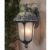 Special Lite Rose Garden F-3711-SW-AB Large Top Mount Light with Alabaster Glass F-3711-SW-AB #2