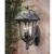 Special Lite Rose Garden F-3717-SW-SG Large Bottom Mount Light with Seedy Glass F-3717-SW-SG #2