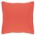 Square Outdoor Pillow 15x15 Solids CD15P #6