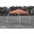 10 × 10 SL Pop-up Canopy, Terracotta Cover, Black Roller Bag 22737 #2
