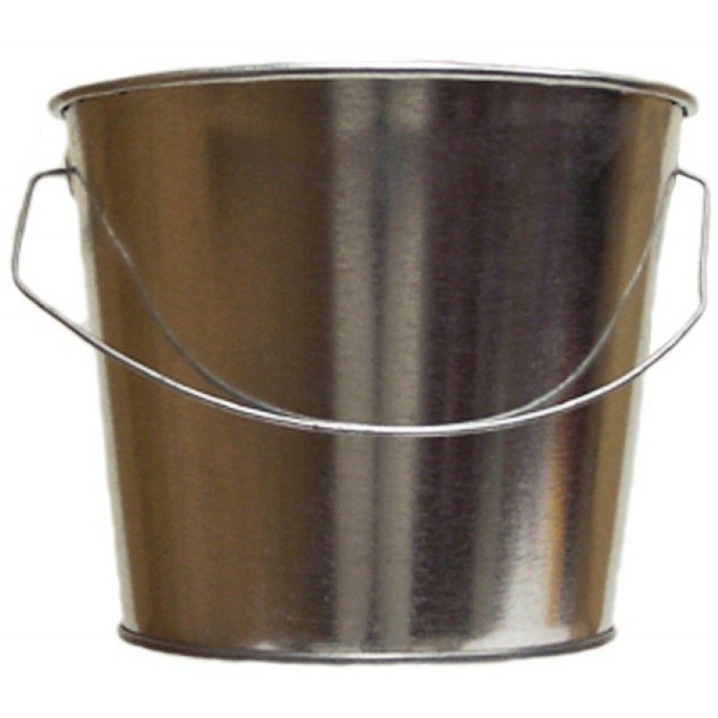 Witt Outdoor 5 Qt Pail Galvanized Steel WW5QTG CozyDays