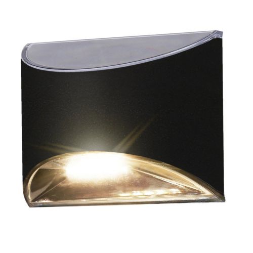 Black Stainless Steel Deck & Wall Light DLS900-B