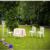 Chiavari Polycarbonate Dining Chair Glossy White ISP071-GWHI #7