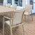 Pacific 11 Piece Dining Set with Extension Table and Sling Arm Chairs Taupe ISP0232S-DVR-DVR #2