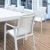 Pacific 11 Piece Dining Set with Extension Table and Sling Arm Chairs White ISP0232S-WHI-WHI #2