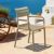 Paris Resin Outdoor Arm Chair Taupe ISP282-DVR #6