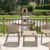 Sky Outdoor Indoor Dining Chair Taupe ISP102-DVR #8
