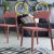 Snow Dining Chair Marsala ISP092-MSL #4