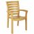 Sunshine Marina Resin Arm Chair Brown ISP016