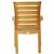 Sunshine Marina Resin Arm Chair Cafe Latte ISP016-TEA #3